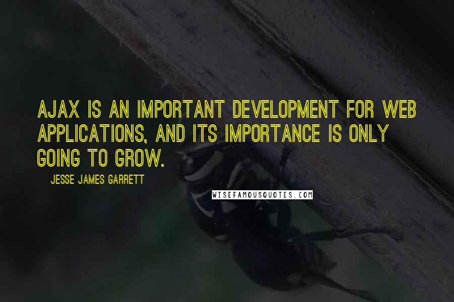 Jesse James Garrett Quotes: Ajax is an important development for Web applications, and its importance is only going to grow.