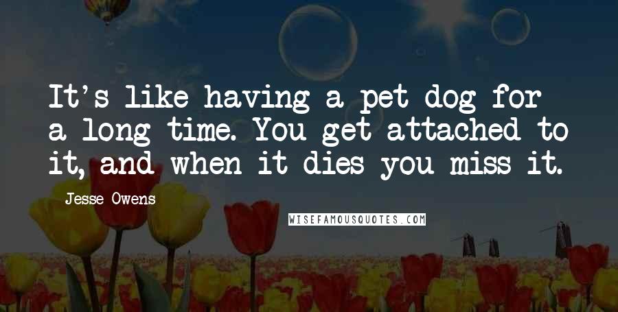 Jesse Owens Quotes: It's like having a pet dog for a long time. You get attached to it, and when it dies you miss it.
