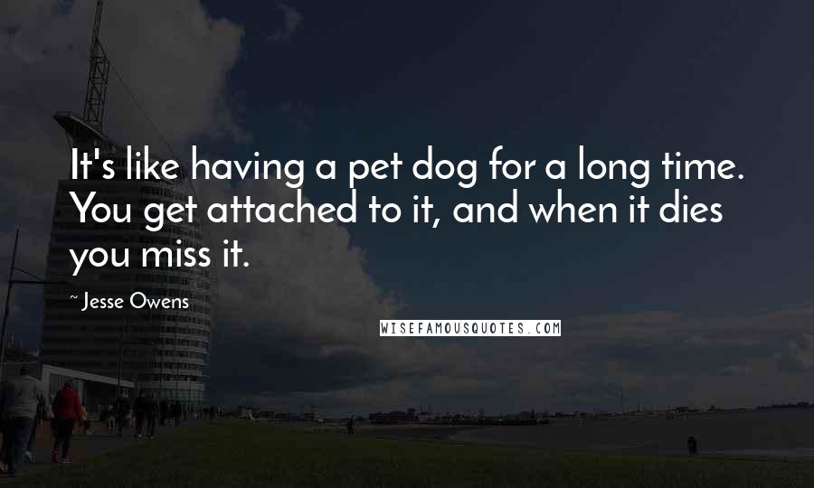 Jesse Owens Quotes: It's like having a pet dog for a long time. You get attached to it, and when it dies you miss it.