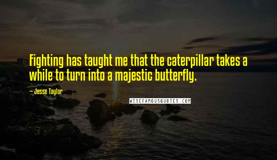 Jesse Taylor Quotes: Fighting has taught me that the caterpillar takes a while to turn into a majestic butterfly.