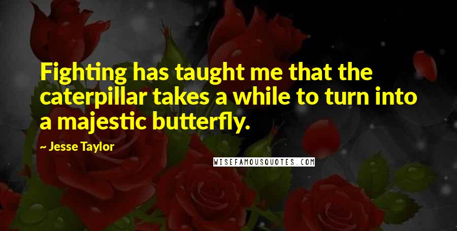 Jesse Taylor Quotes: Fighting has taught me that the caterpillar takes a while to turn into a majestic butterfly.
