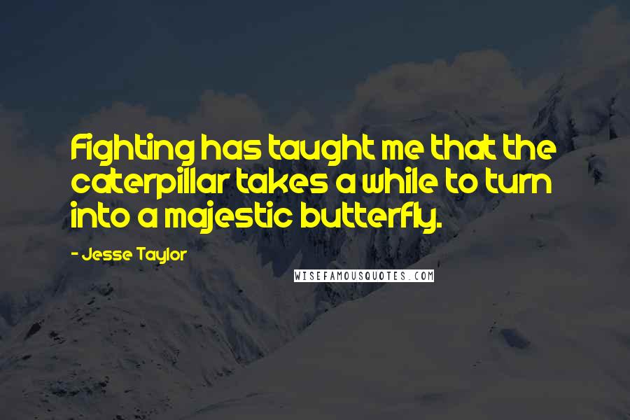 Jesse Taylor Quotes: Fighting has taught me that the caterpillar takes a while to turn into a majestic butterfly.