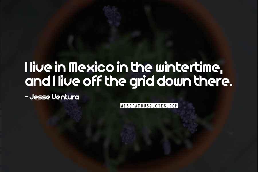 Jesse Ventura Quotes: I live in Mexico in the wintertime, and I live off the grid down there.