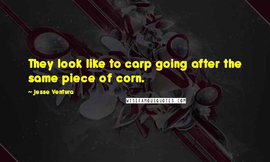 Jesse Ventura Quotes: They look like to carp going after the same piece of corn.
