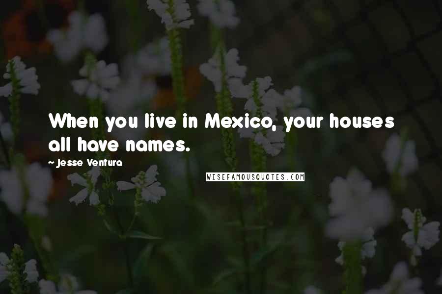 Jesse Ventura Quotes: When you live in Mexico, your houses all have names.