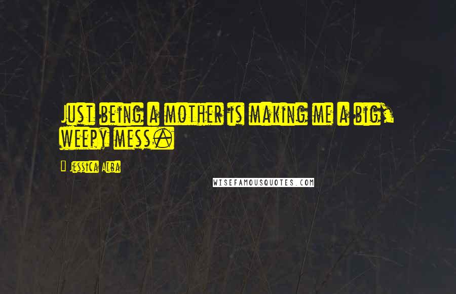 Jessica Alba Quotes: Just being a mother is making me a big, weepy mess.