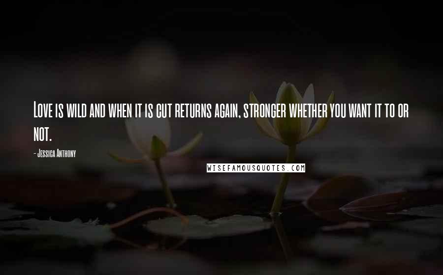 Jessica Anthony Quotes: Love is wild and when it is cut returns again, stronger whether you want it to or not.