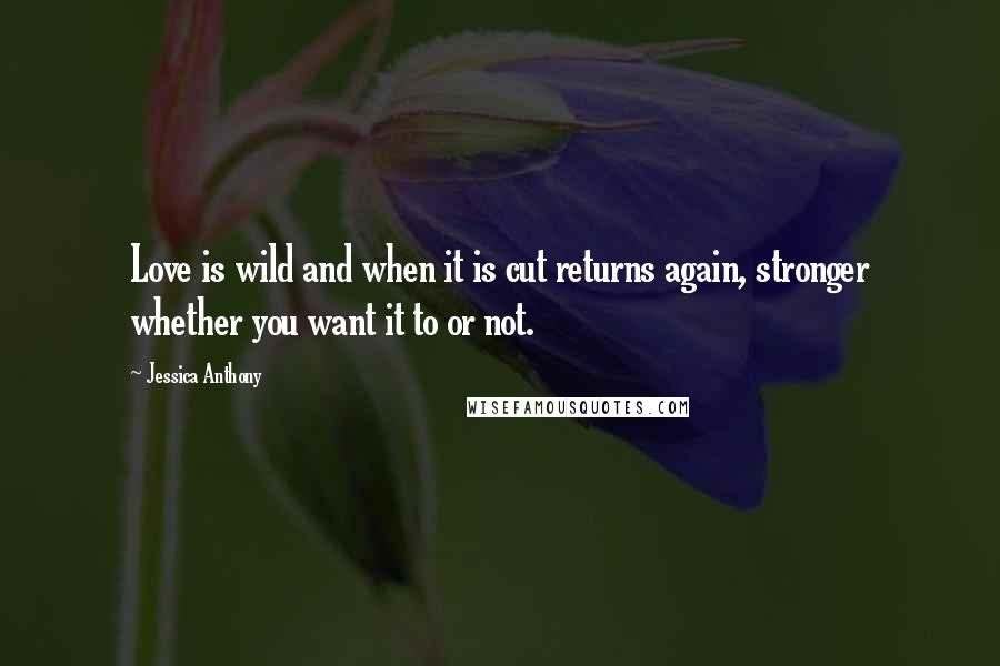 Jessica Anthony Quotes: Love is wild and when it is cut returns again, stronger whether you want it to or not.