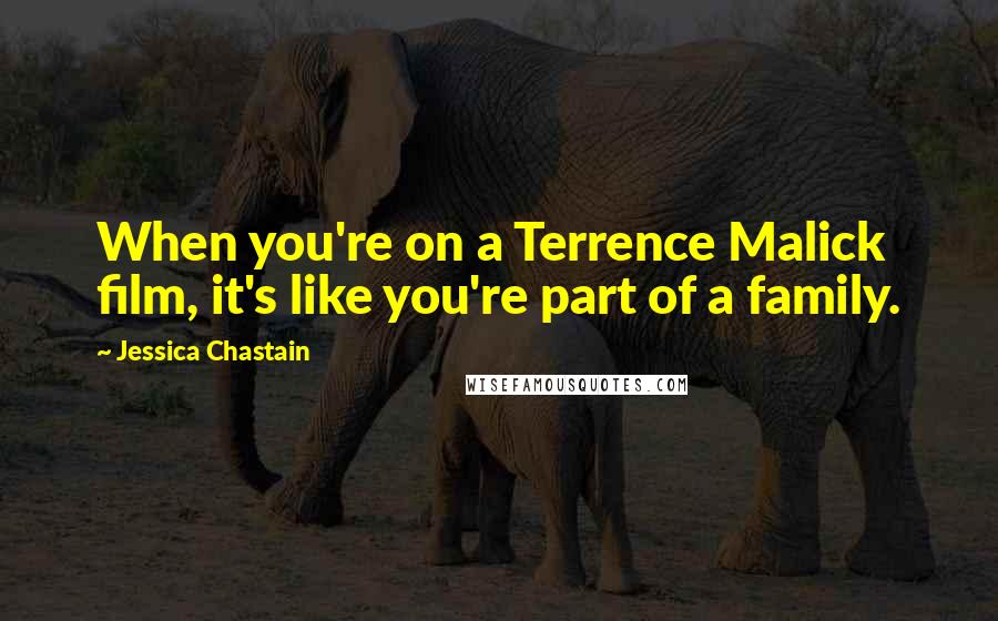 Jessica Chastain Quotes: When you're on a Terrence Malick film, it's like you're part of a family.