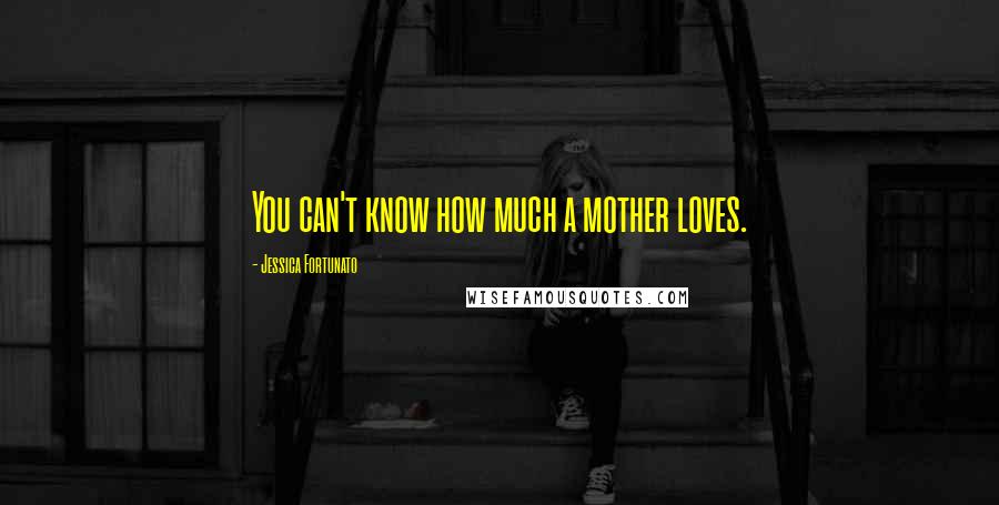 Jessica Fortunato Quotes: You can't know how much a mother loves.