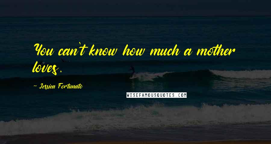 Jessica Fortunato Quotes: You can't know how much a mother loves.