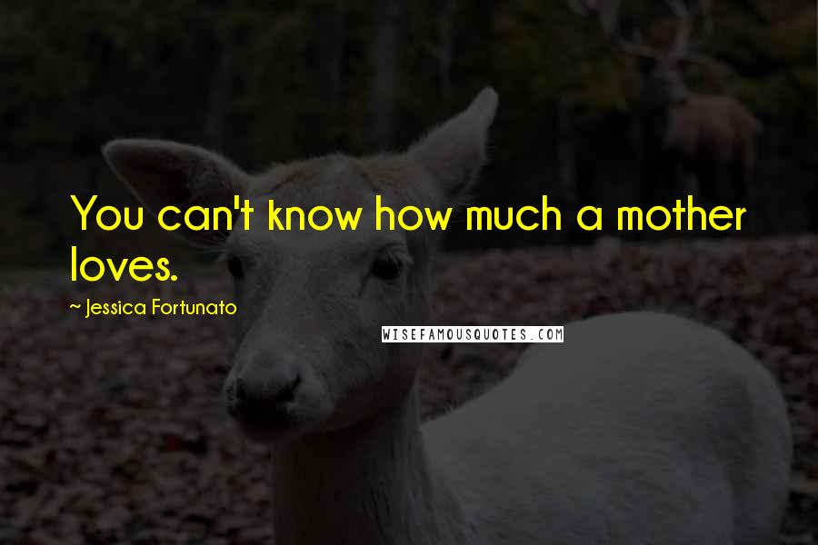 Jessica Fortunato Quotes: You can't know how much a mother loves.