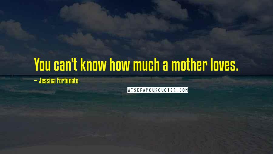 Jessica Fortunato Quotes: You can't know how much a mother loves.