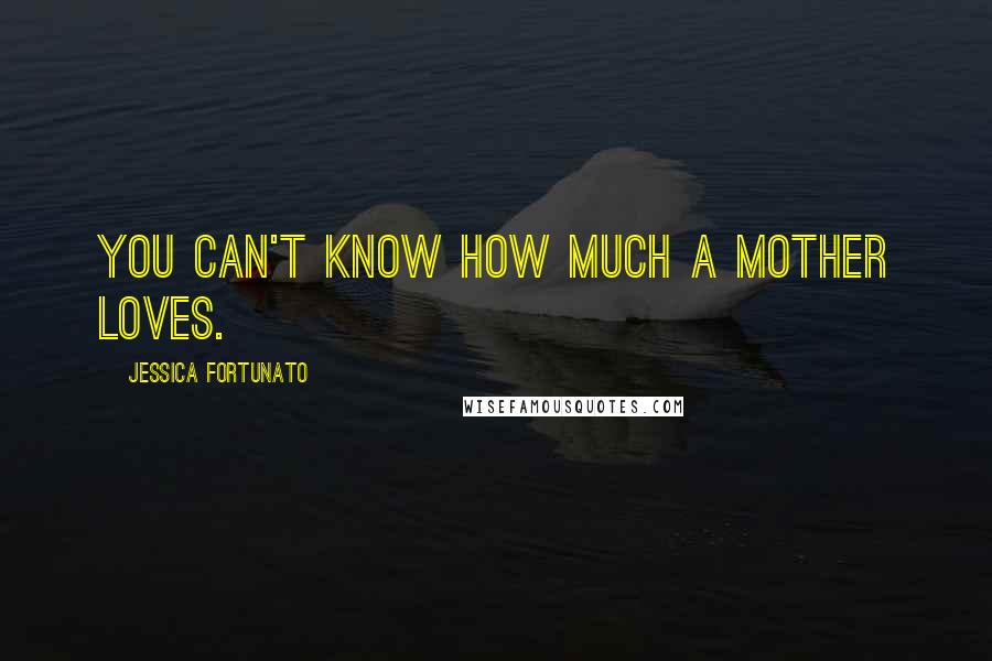 Jessica Fortunato Quotes: You can't know how much a mother loves.