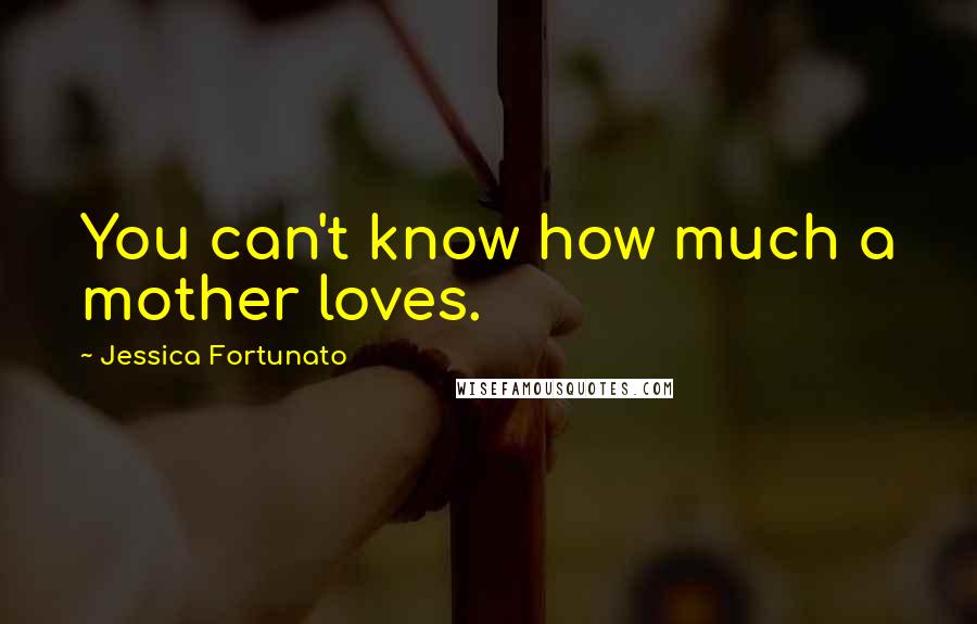 Jessica Fortunato Quotes: You can't know how much a mother loves.