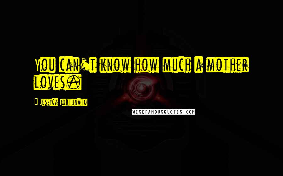 Jessica Fortunato Quotes: You can't know how much a mother loves.