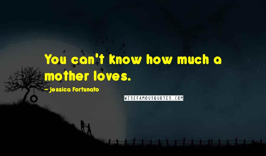 Jessica Fortunato Quotes: You can't know how much a mother loves.