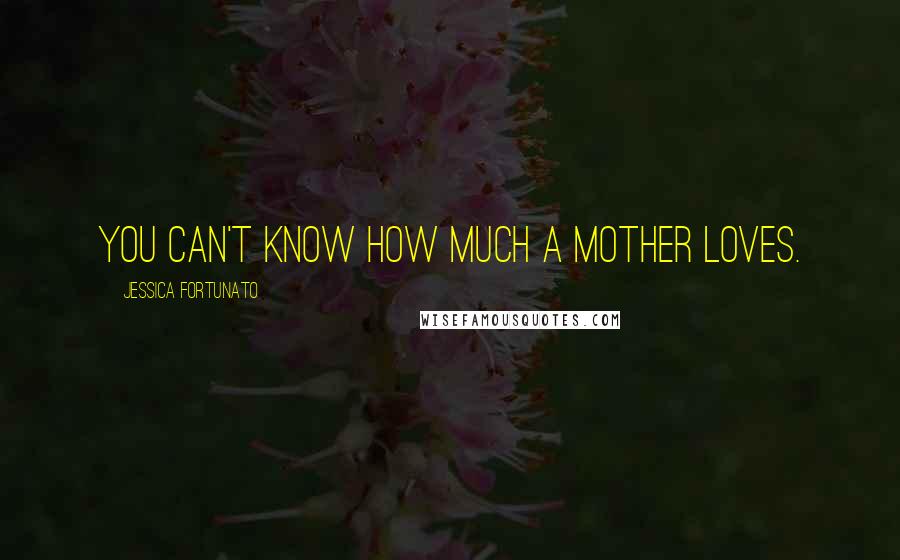 Jessica Fortunato Quotes: You can't know how much a mother loves.