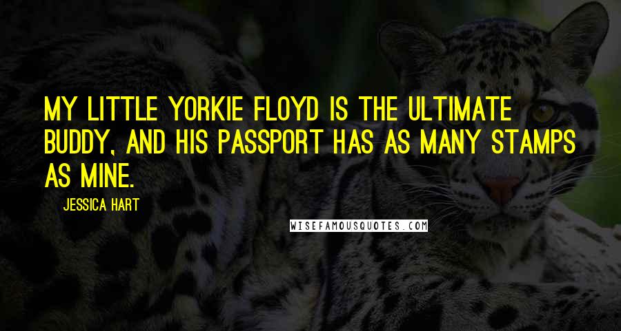 Jessica Hart Quotes: My little yorkie Floyd is the ultimate buddy, and his passport has as many stamps as mine.