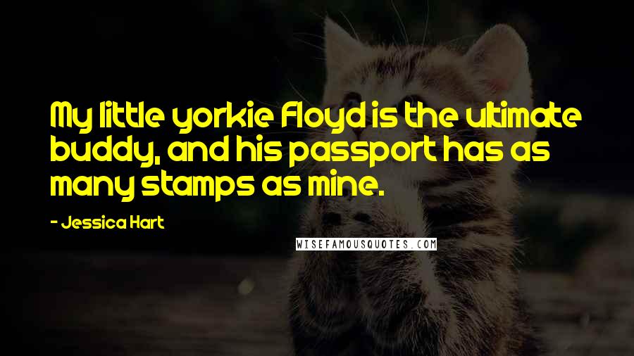 Jessica Hart Quotes: My little yorkie Floyd is the ultimate buddy, and his passport has as many stamps as mine.
