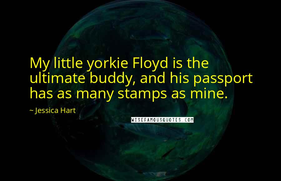 Jessica Hart Quotes: My little yorkie Floyd is the ultimate buddy, and his passport has as many stamps as mine.