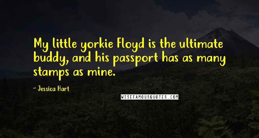 Jessica Hart Quotes: My little yorkie Floyd is the ultimate buddy, and his passport has as many stamps as mine.