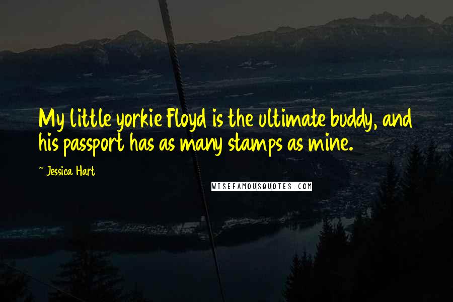 Jessica Hart Quotes: My little yorkie Floyd is the ultimate buddy, and his passport has as many stamps as mine.
