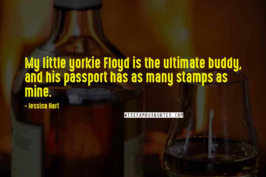 Jessica Hart Quotes: My little yorkie Floyd is the ultimate buddy, and his passport has as many stamps as mine.