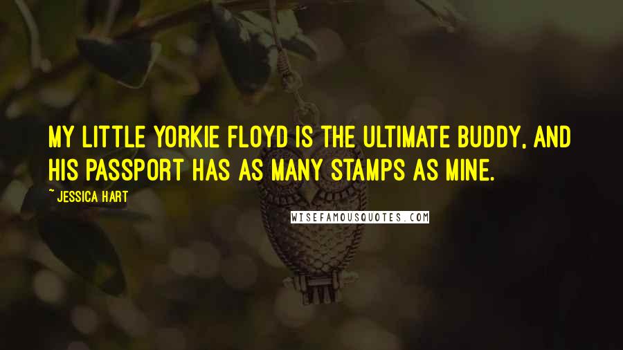 Jessica Hart Quotes: My little yorkie Floyd is the ultimate buddy, and his passport has as many stamps as mine.