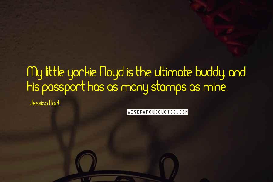 Jessica Hart Quotes: My little yorkie Floyd is the ultimate buddy, and his passport has as many stamps as mine.