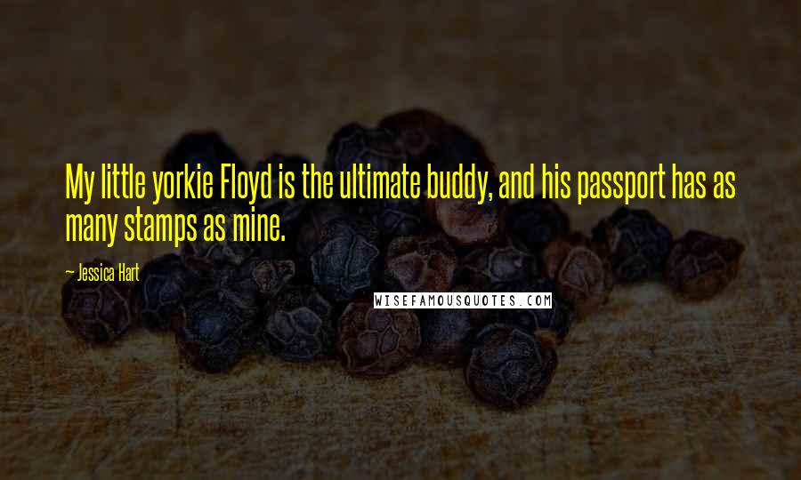 Jessica Hart Quotes: My little yorkie Floyd is the ultimate buddy, and his passport has as many stamps as mine.
