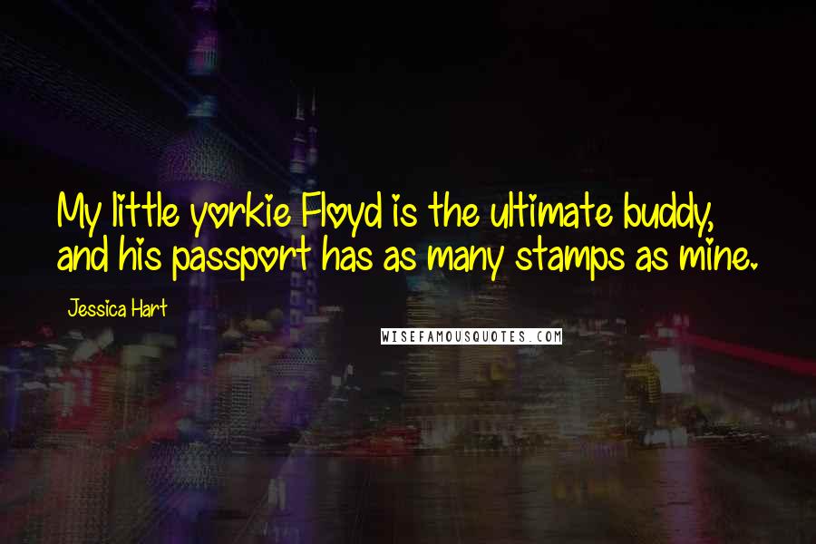 Jessica Hart Quotes: My little yorkie Floyd is the ultimate buddy, and his passport has as many stamps as mine.