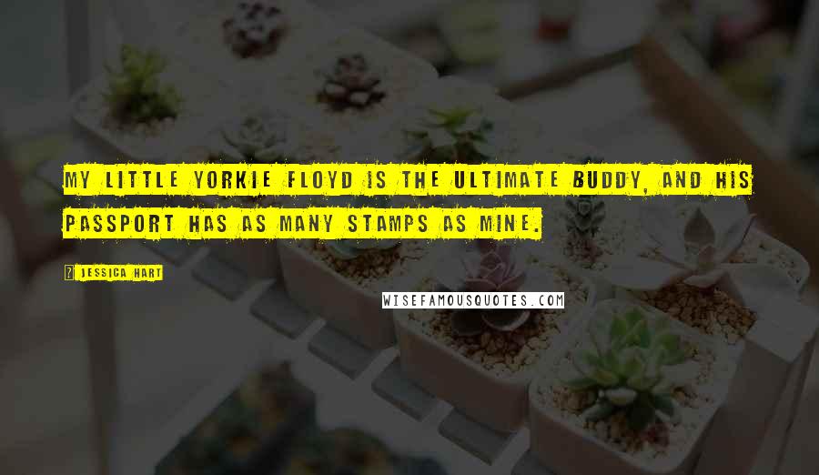 Jessica Hart Quotes: My little yorkie Floyd is the ultimate buddy, and his passport has as many stamps as mine.