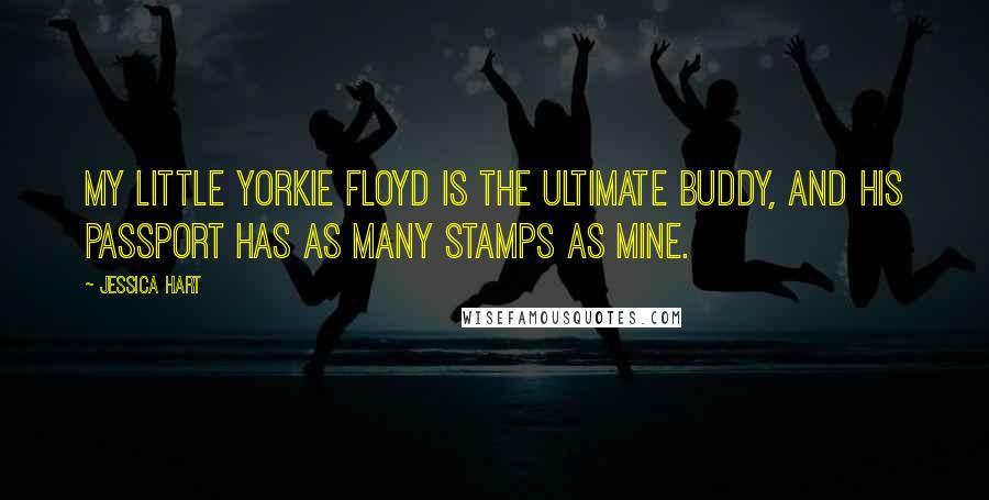 Jessica Hart Quotes: My little yorkie Floyd is the ultimate buddy, and his passport has as many stamps as mine.