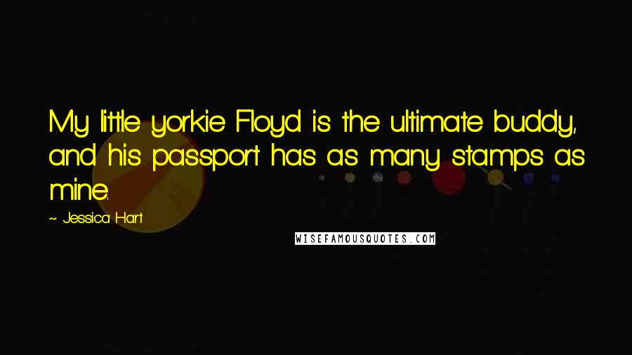 Jessica Hart Quotes: My little yorkie Floyd is the ultimate buddy, and his passport has as many stamps as mine.
