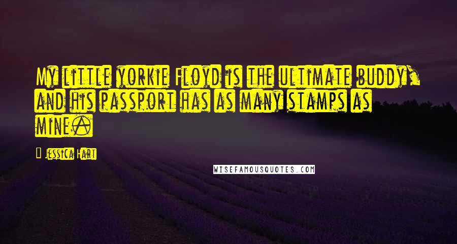 Jessica Hart Quotes: My little yorkie Floyd is the ultimate buddy, and his passport has as many stamps as mine.