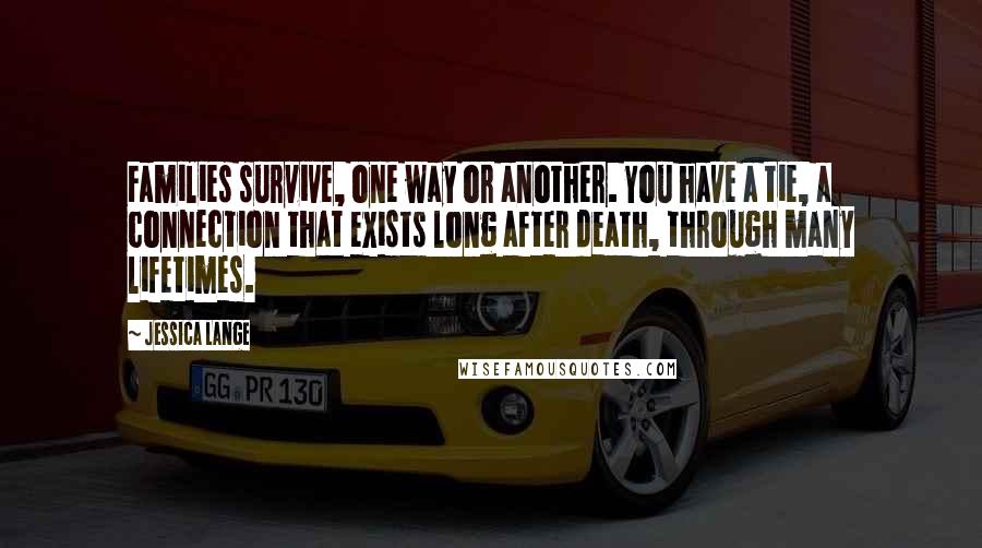 Jessica Lange Quotes: Families survive, one way or another. You have a tie, a connection that exists long after death, through many lifetimes.