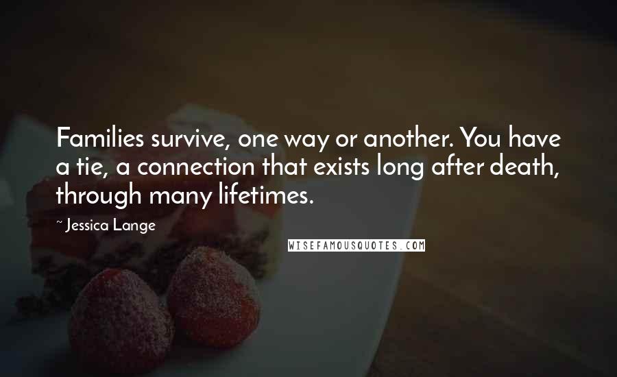 Jessica Lange Quotes: Families survive, one way or another. You have a tie, a connection that exists long after death, through many lifetimes.