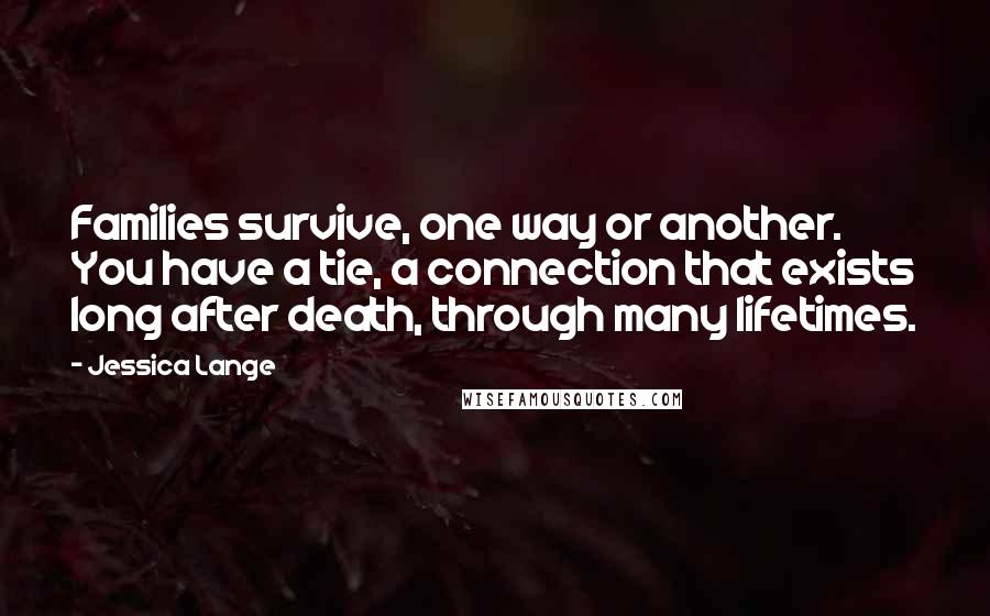 Jessica Lange Quotes: Families survive, one way or another. You have a tie, a connection that exists long after death, through many lifetimes.
