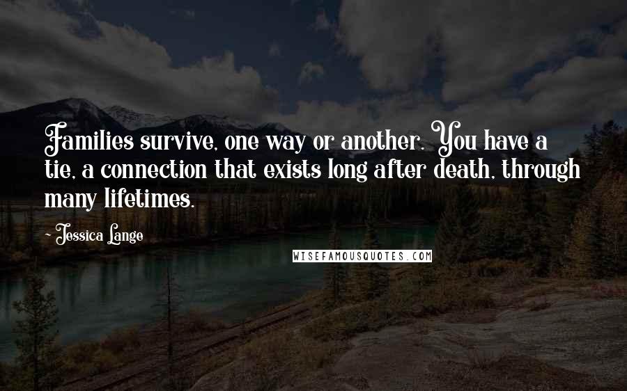 Jessica Lange Quotes: Families survive, one way or another. You have a tie, a connection that exists long after death, through many lifetimes.