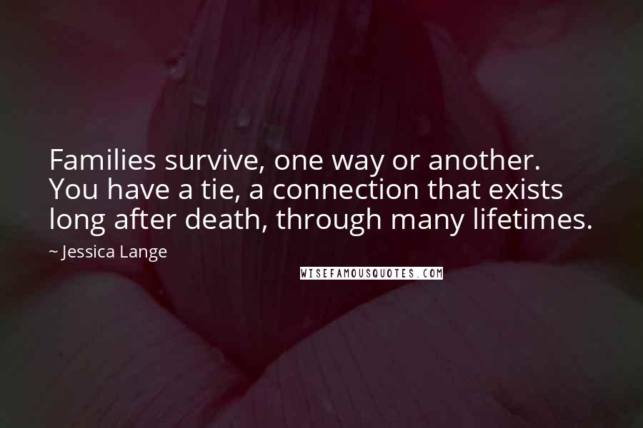 Jessica Lange Quotes: Families survive, one way or another. You have a tie, a connection that exists long after death, through many lifetimes.