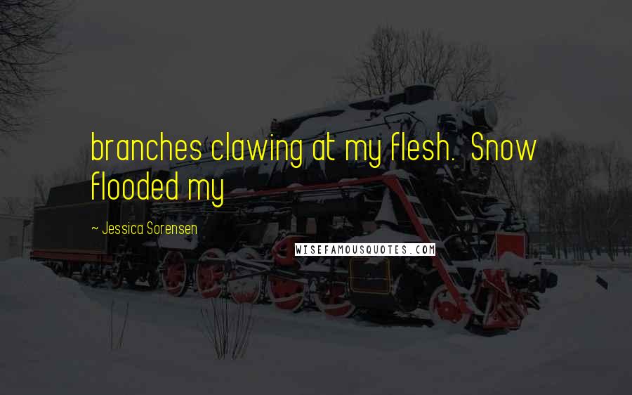 Jessica Sorensen Quotes: branches clawing at my flesh. Snow flooded my