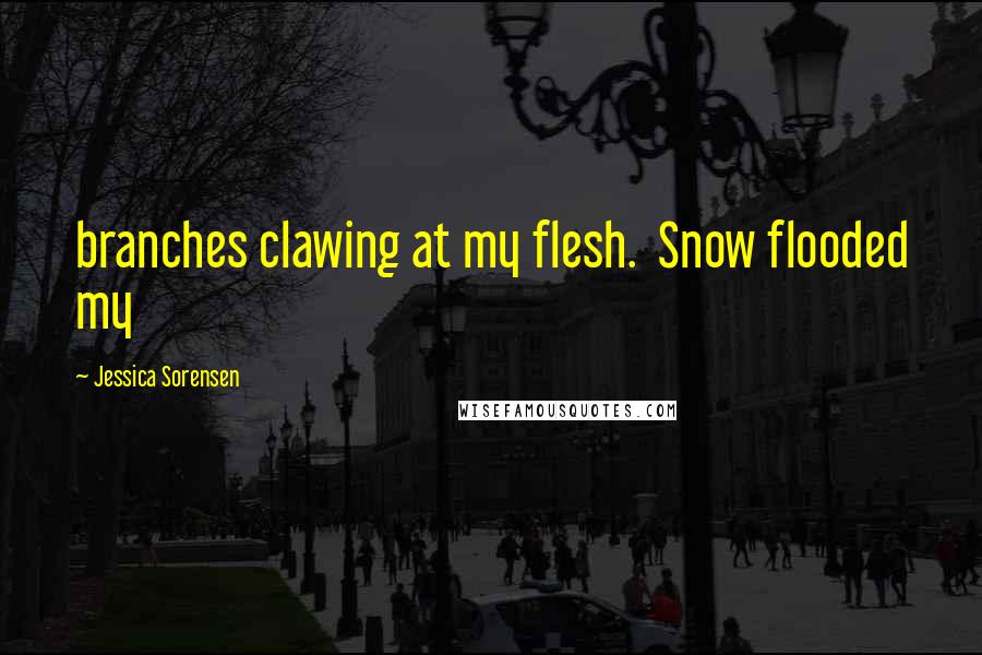 Jessica Sorensen Quotes: branches clawing at my flesh.  Snow flooded my