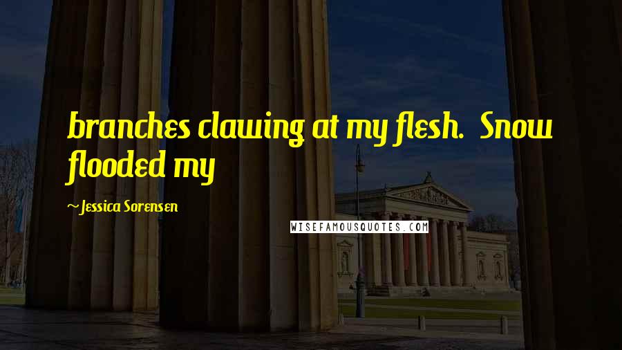Jessica Sorensen Quotes: branches clawing at my flesh. Snow flooded my