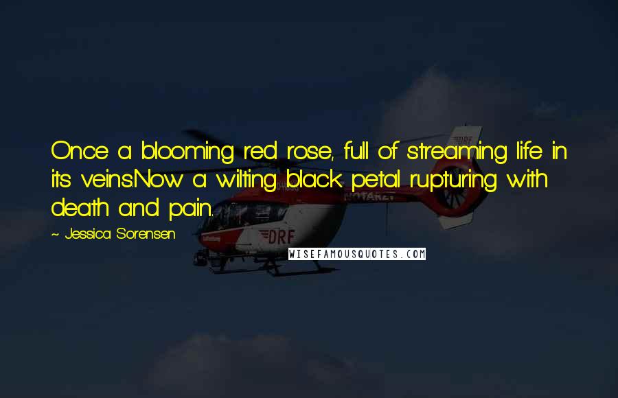 Jessica Sorensen Quotes: Once a blooming red rose, full of streaming life in its veins.Now a wilting black petal rupturing with death and pain.