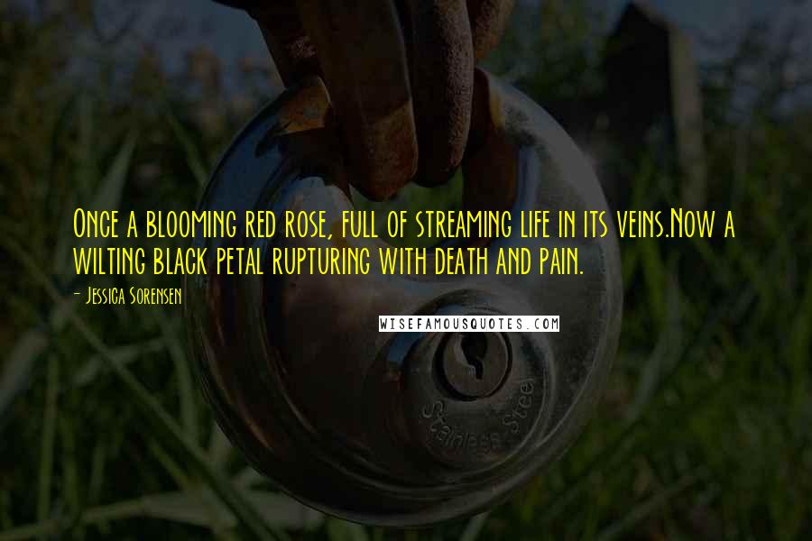 Jessica Sorensen Quotes: Once a blooming red rose, full of streaming life in its veins.Now a wilting black petal rupturing with death and pain.