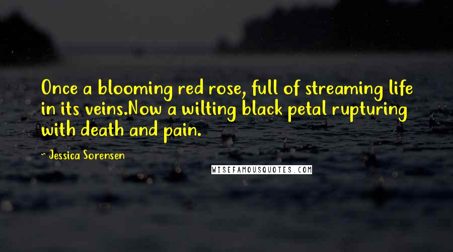 Jessica Sorensen Quotes: Once a blooming red rose, full of streaming life in its veins.Now a wilting black petal rupturing with death and pain.