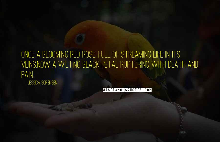 Jessica Sorensen Quotes: Once a blooming red rose, full of streaming life in its veins.Now a wilting black petal rupturing with death and pain.