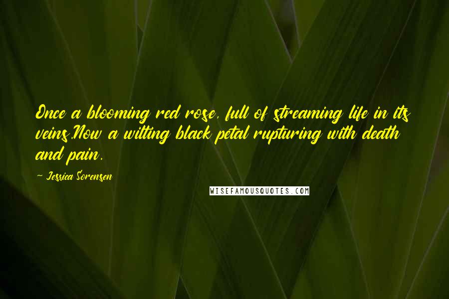Jessica Sorensen Quotes: Once a blooming red rose, full of streaming life in its veins.Now a wilting black petal rupturing with death and pain.