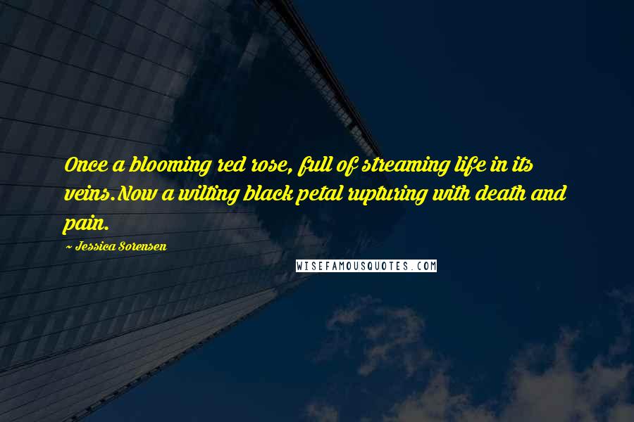 Jessica Sorensen Quotes: Once a blooming red rose, full of streaming life in its veins.Now a wilting black petal rupturing with death and pain.